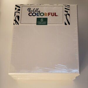 6-Pack Boldly Colorful 8x10 Pre-stretched Blank Canvas Artists Cotton White New